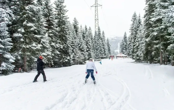 Jura Hotels Ilgaz Mountain Resort