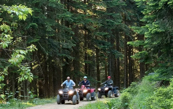 Jura Hotels Ilgaz Mountain Resort