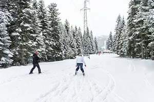 Kayak Merkezi